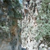  Samaria Gorge